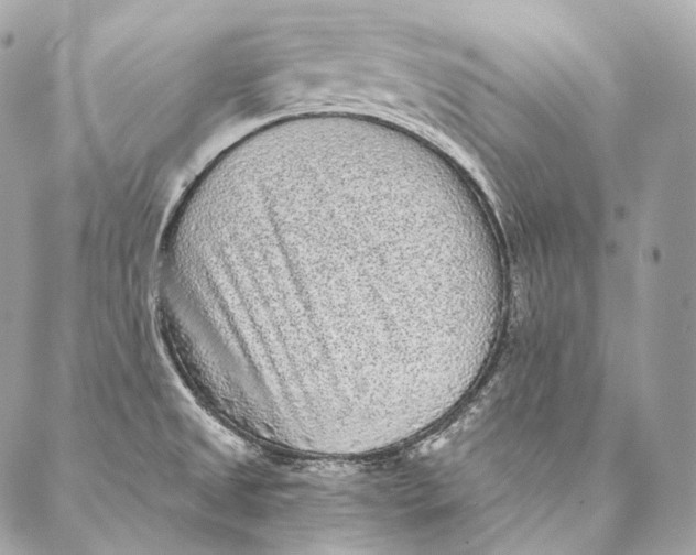 X0000087341525200705111535
