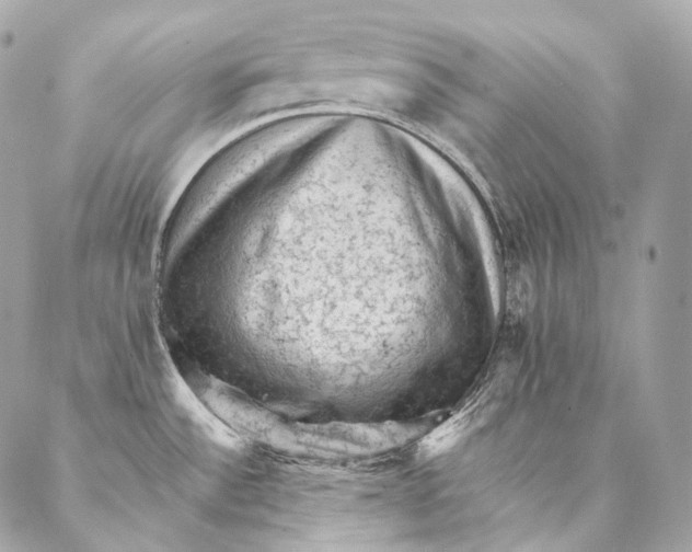 X0000087341532200705111535
