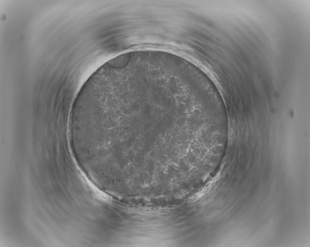 X0000087341533200705111535