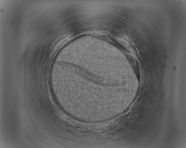 X0000087340001200705181113