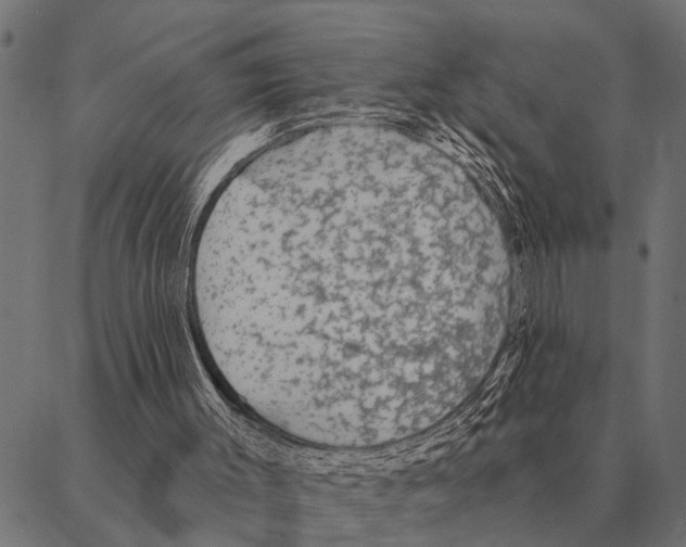 X0000087340003200705181113