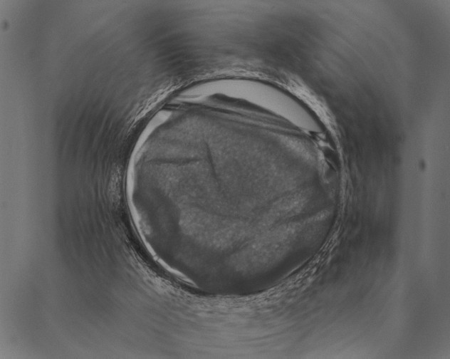 X0000087340009200705181113