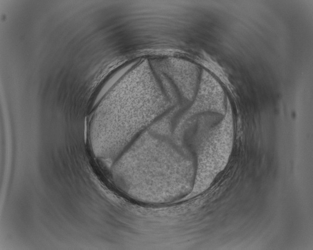 X0000087340013200705181113