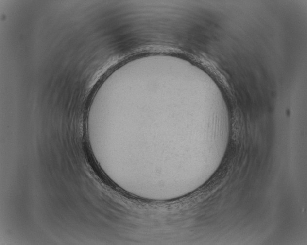 X0000087340015200705181113