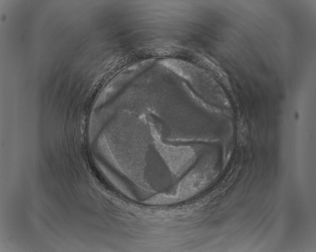 X0000087340018200705181112