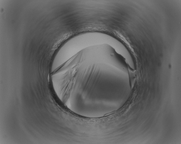 X0000087340019200705181112