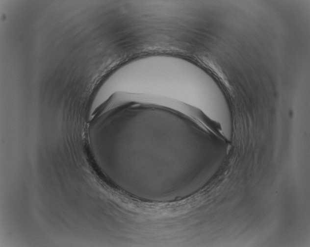 X0000087340023200705181112