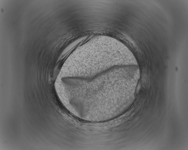 X0000087340025200705181112