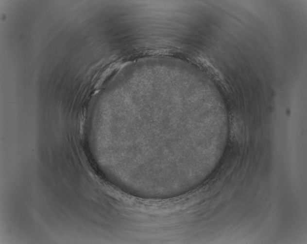 X0000087340026200705181112