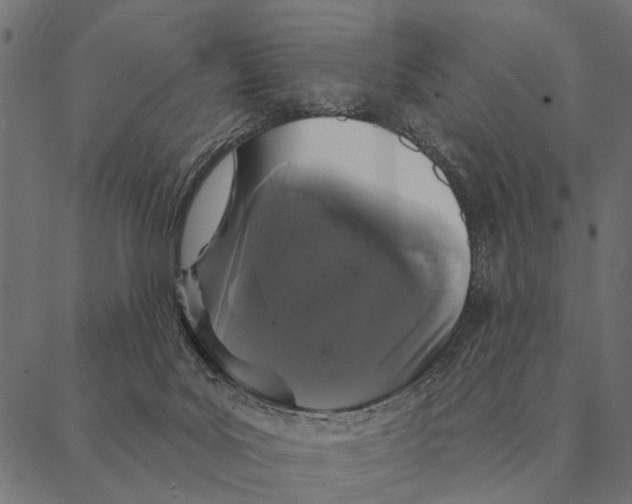 X0000087340027200705181112