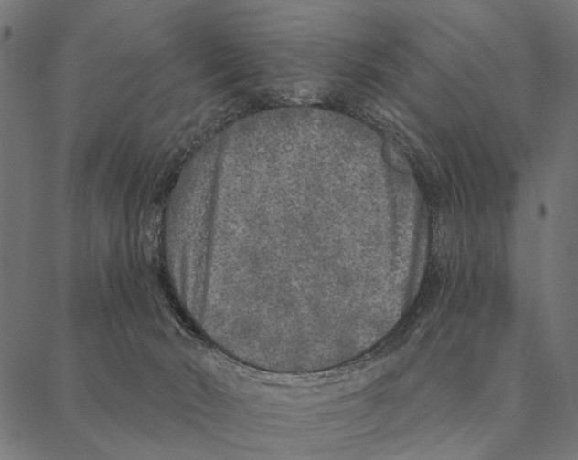 X0000087340030200705181112