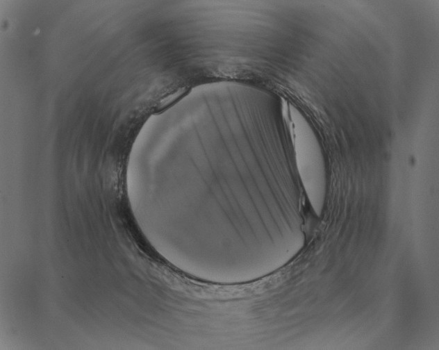 X0000087340031200705181112