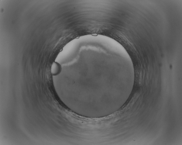 X0000087340035200705181112