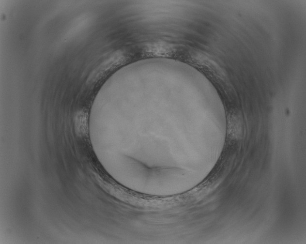 X0000087340036200705181112