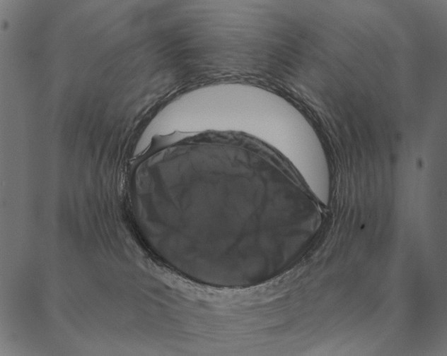 X0000087340039200705181112