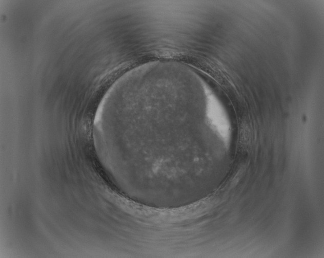 X0000087340043200705181112