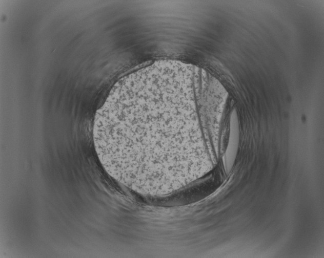 X0000087340045200705181112