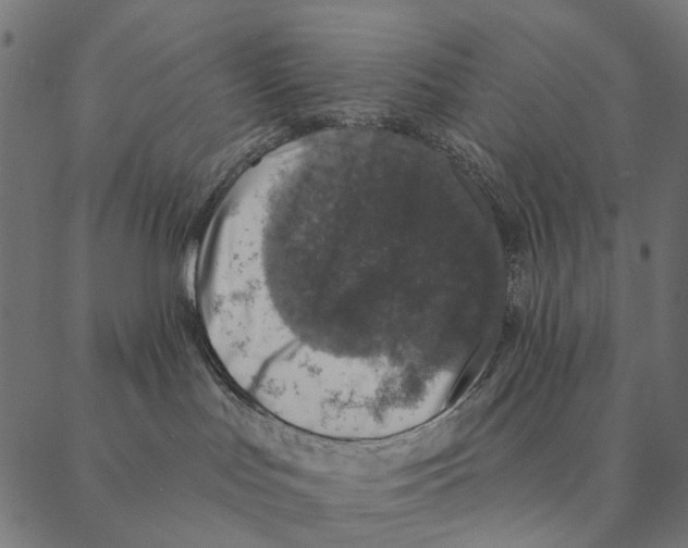 X0000087340047200705181112