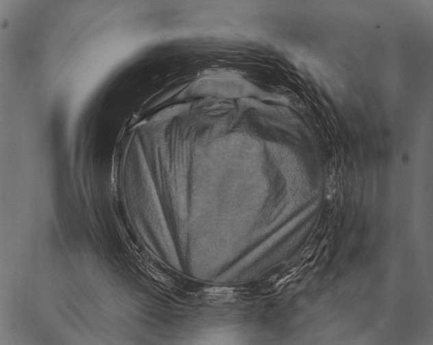 X0000087340052200705181111