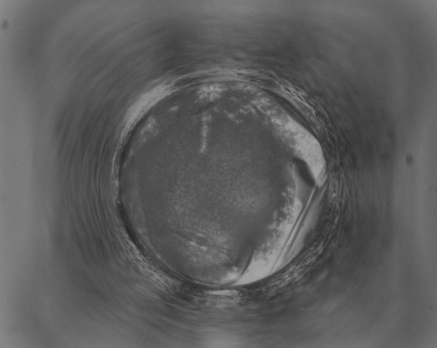 X0000087340053200705181111