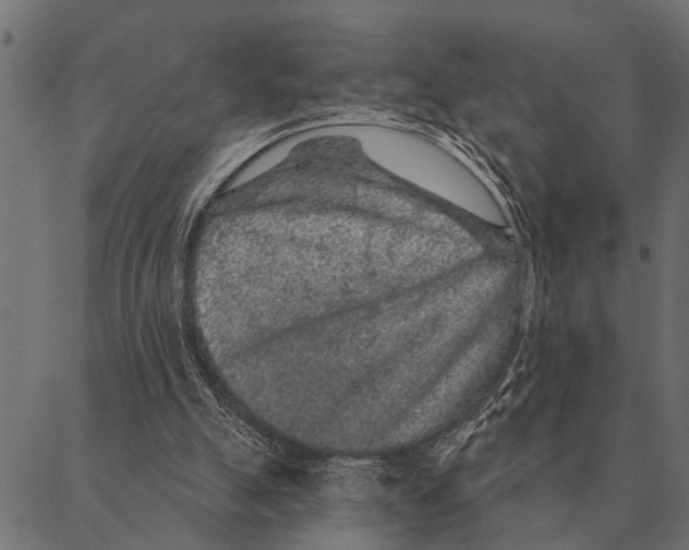X0000087340055200705181111