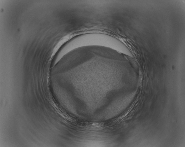 X0000087340056200705181111