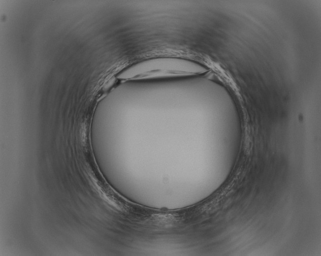 X0000087340057200705181111