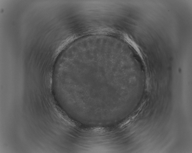 X0000087340059200705181111