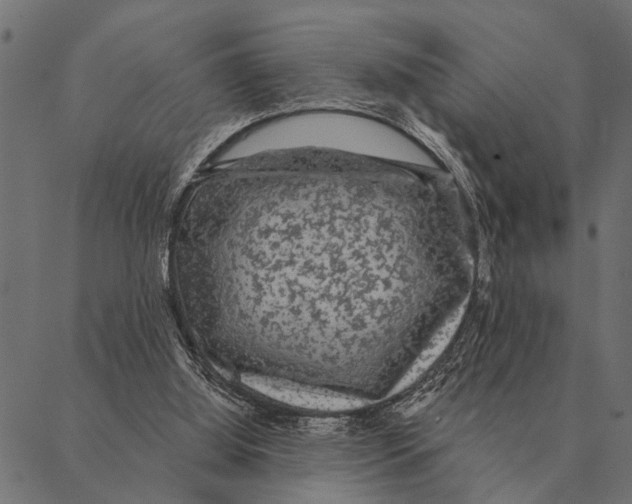 X0000087340060200705181111