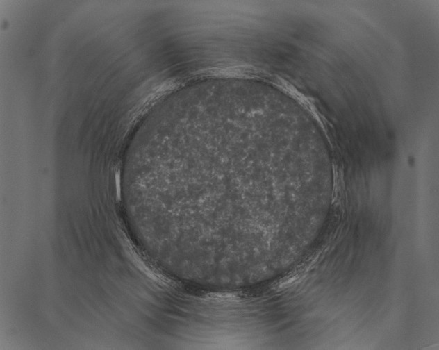 X0000087340061200705181111