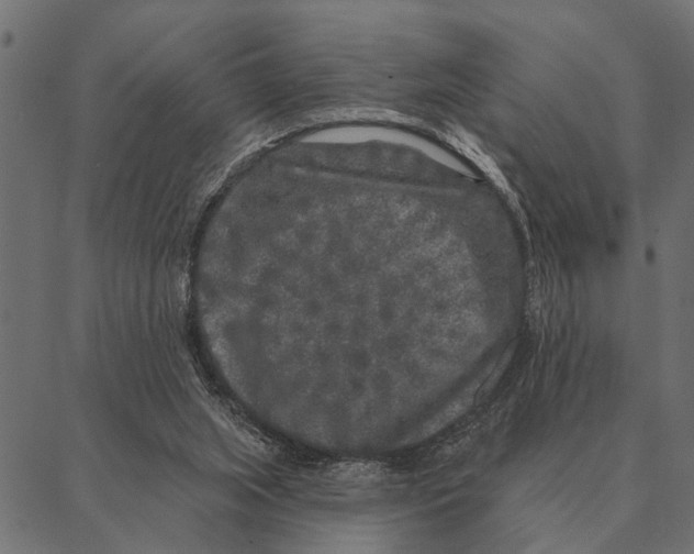 X0000087340063200705181111