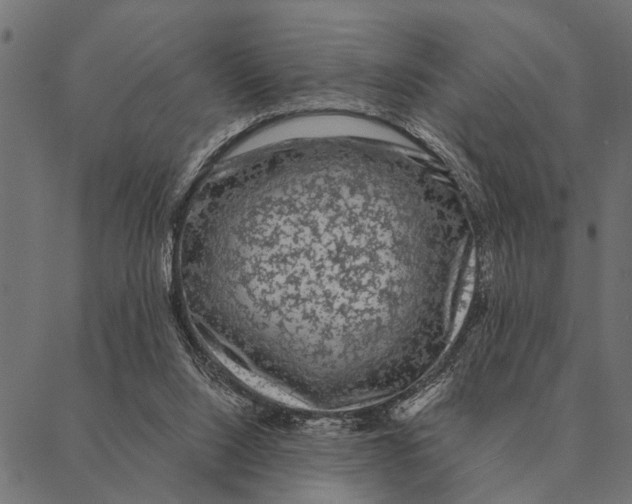 X0000087340064200705181111