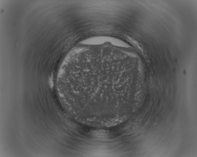 X0000087340069200705181112