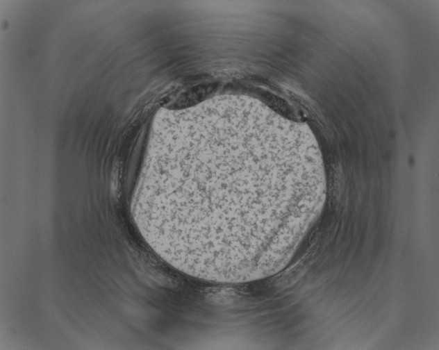 X0000087340074200705181112