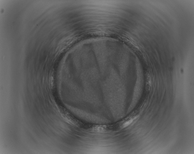 X0000087340080200705181112