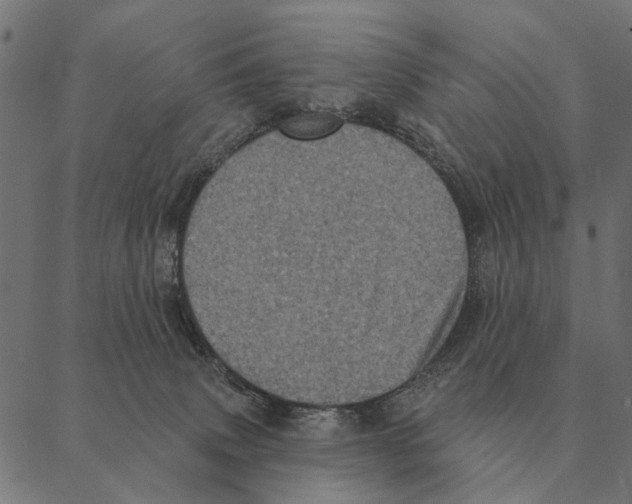 X0000087340083200705181112