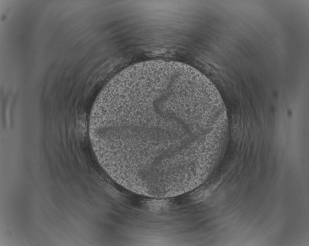 X0000087340085200705181112