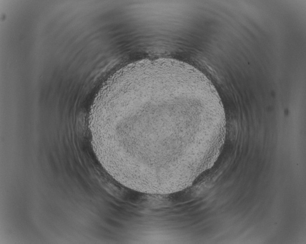 X0000087340093200705181112