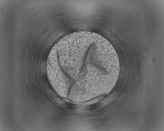 X0000087340096200705181112