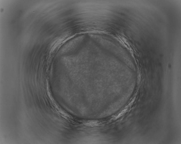 X0000087340097200705181111