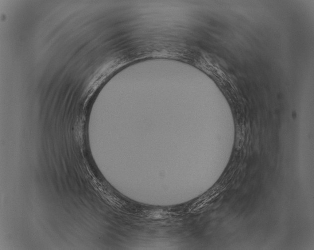 X0000087340098200705181111