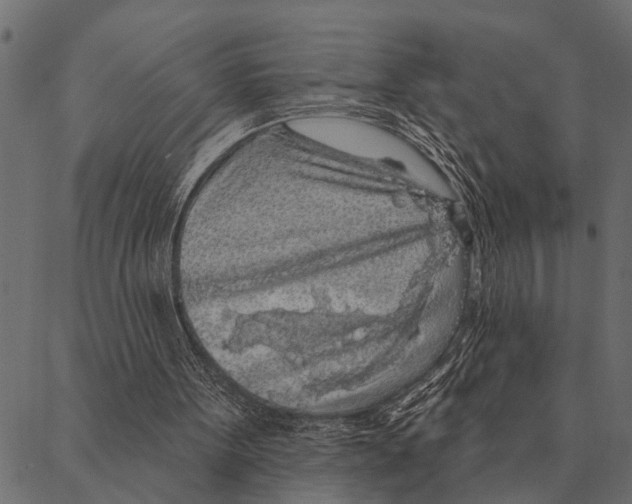 X0000087340099200705181111