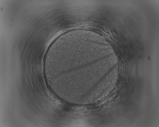 X0000087340100200705181111