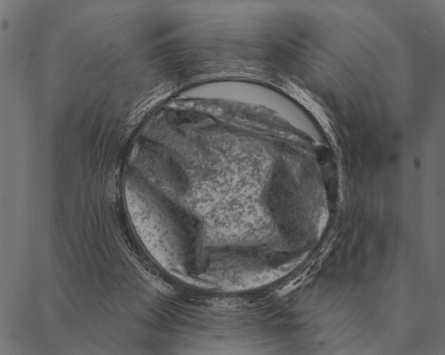 X0000087340105200705181111