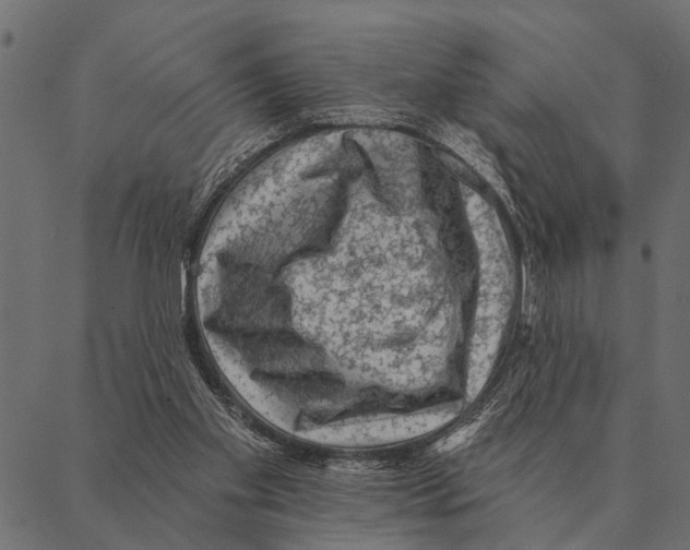 X0000087340109200705181111