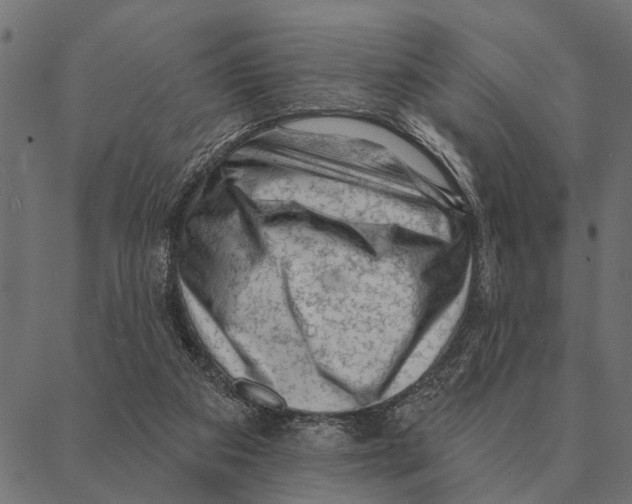 X0000087340113200705181111