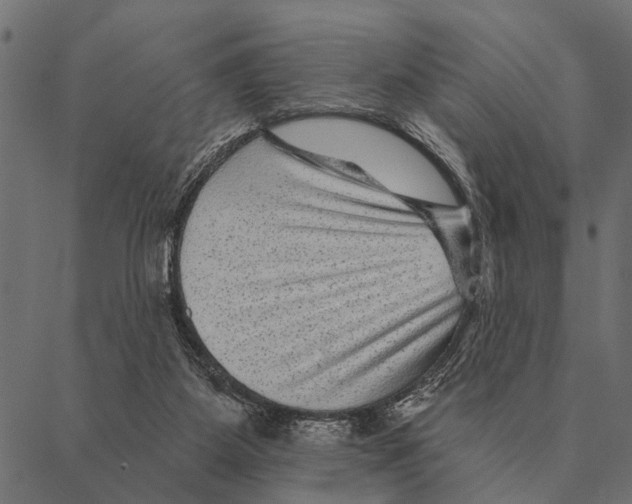 X0000087340115200705181111