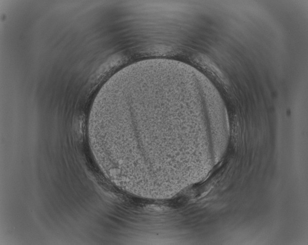 X0000087340119200705181111