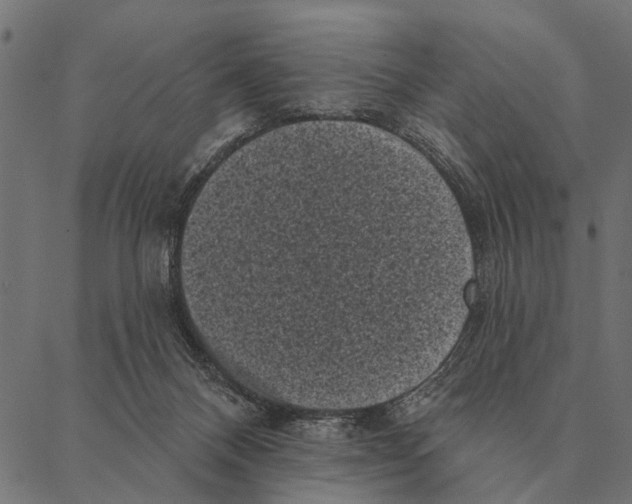 X0000087340120200705181111