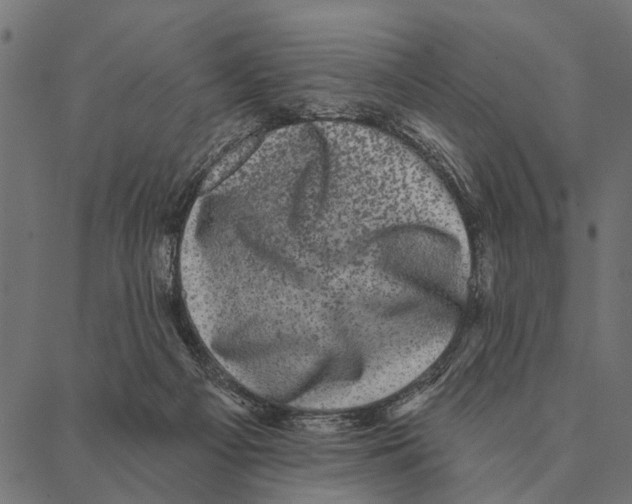X0000087340121200705181111